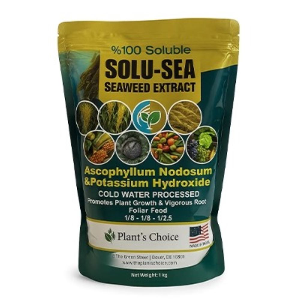 جلبک دریایی سولوسی پلنت چویس آمریکا 1 کیلویی